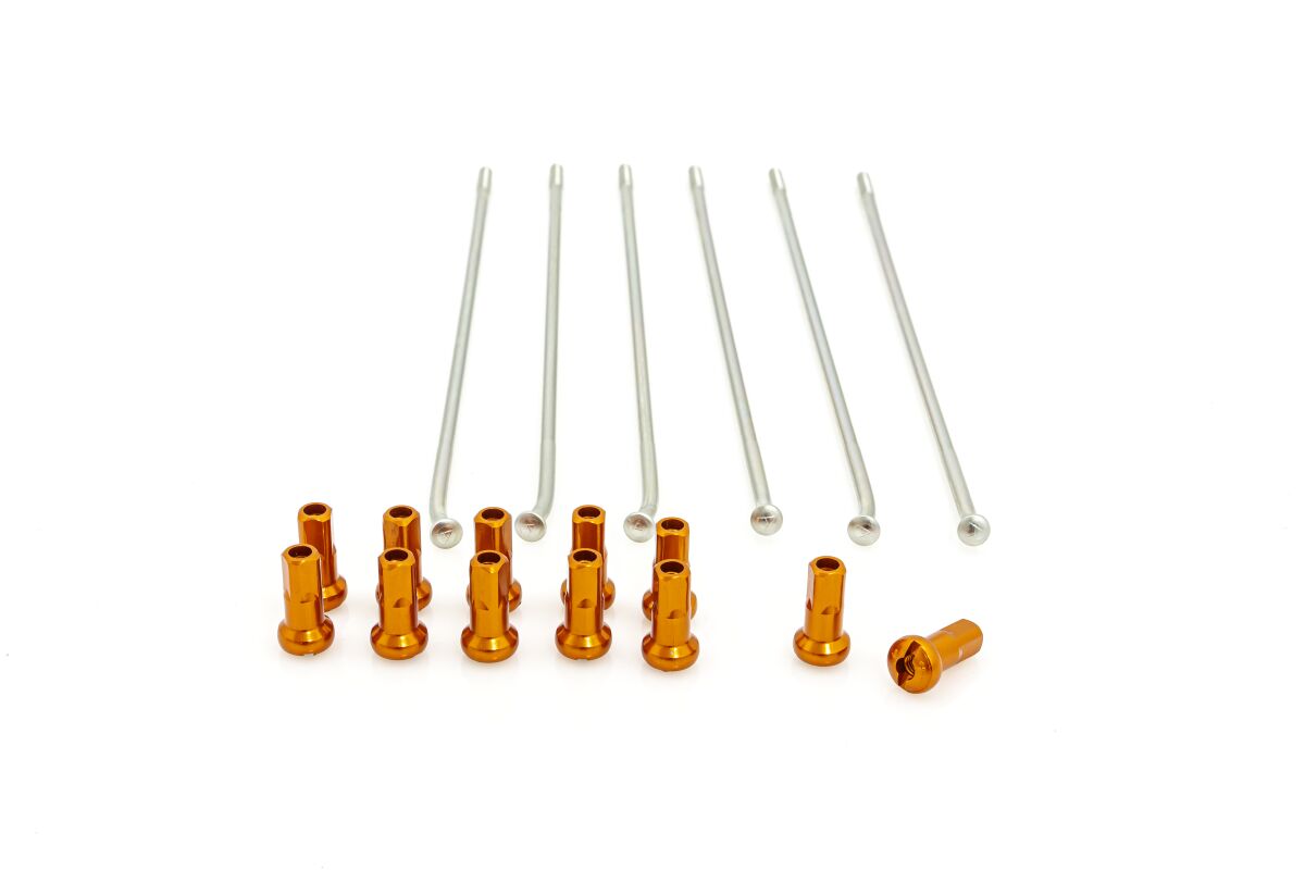 SPOKES 19 RR SI /OR NIP 12PC