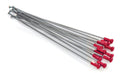 SPOKES 19 RR SI /RE NIP 12PC
