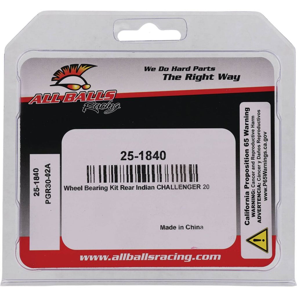 BEARING KIT WHEEL INDIAN