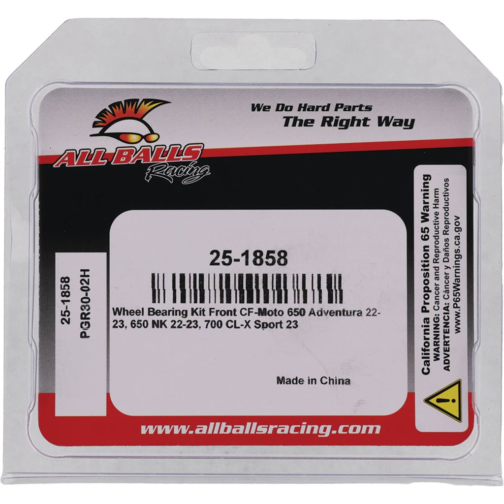 BEARING KIT WHEEL CF MOTO