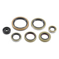 KIT VEDANTES MOTOR VERTEX 860VG822976 KTM 250/300SX 17/24 250/300 EXC 17/24