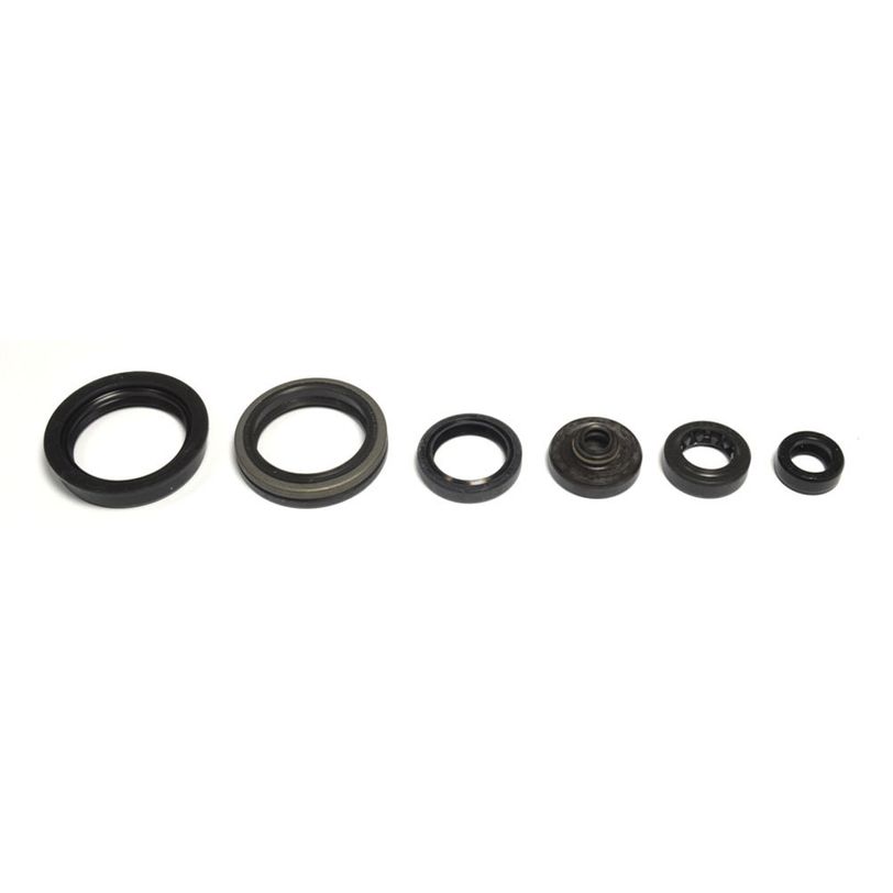 P400510400045 JOGO VEDANTES MOTOR ATHENA RMZ450 05/07