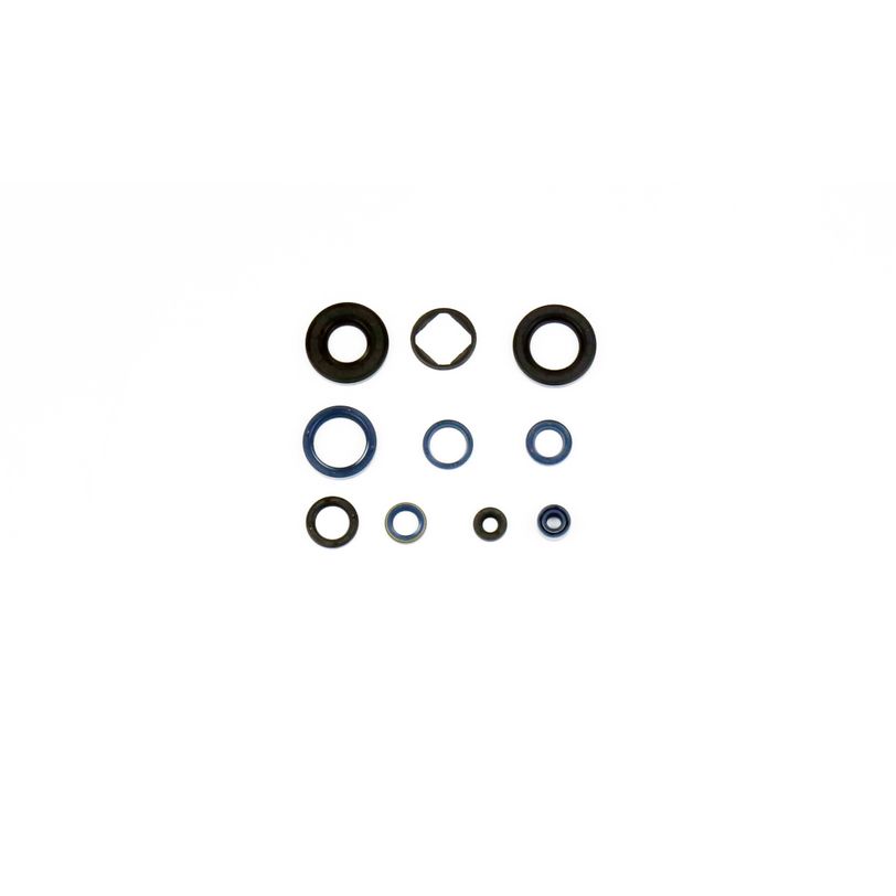 P400220400125 JOGO VEDANTES MOTOR ATHENA CAGIVA MITO 125 91/08