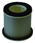 V303 FILTRO AR CHAMPION FZR600 89/94 -