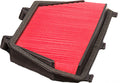 CAF0620 FILTRO AR CHAMPION CBR600 RA-9 A,B,C 09/12 ***