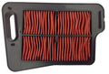 CAF2401 FILTRO AR CHAMPION SUZUKI BURGMAN 400 06/13