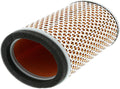 CAF5504 FILTRO AR CHAMPION TRIUMPH 800/865/1200 01-16