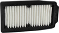 CAF2202 FILTRO AR CHAMPION SUZUKI GXS250R 17+ DL250 18+