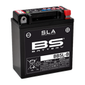 BATERIA BS BB5L-B (FA) - 300671