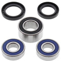 KIT ROLAMENTOS EIXO TRAS ALL BALLS 25-1658 CBR600 F4 01/06