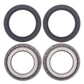 KIT ROLAMENTOS EIXO TRAS ALL BALLS 25-1432 CAN AM DS650 00/07