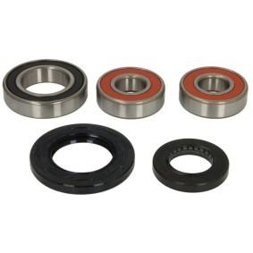 WBK-377 KIT ROLAMENTOS EIXO TRAS TOURMAX DL650 04/19