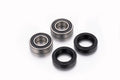 KIT ROLAMENTOS RODA FRENTE FACTORY LINKS AFW-H-005 TRX400EX, TRX450ER/R