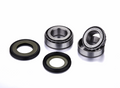 KIT ROLAMENTOS DIRECAO FACTORY LINKS SSK-K-218 EN500 ZX-6 ZZR600 W650 ZR750 VN750/800/900/1500