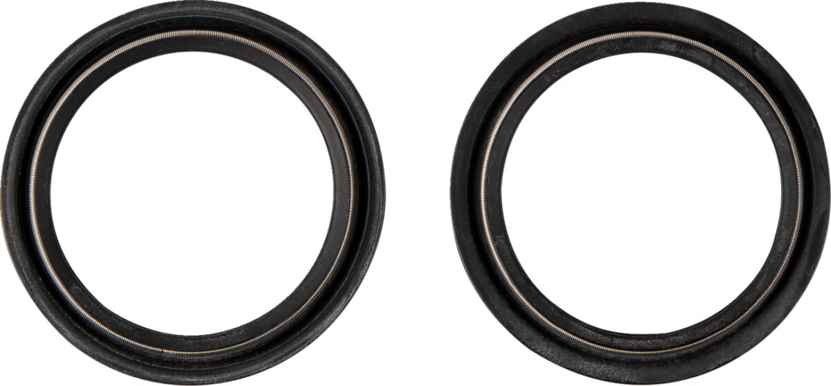 DUST SEAL 48.X58.50 WP