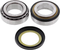 BEARING STEERING STEM TRI