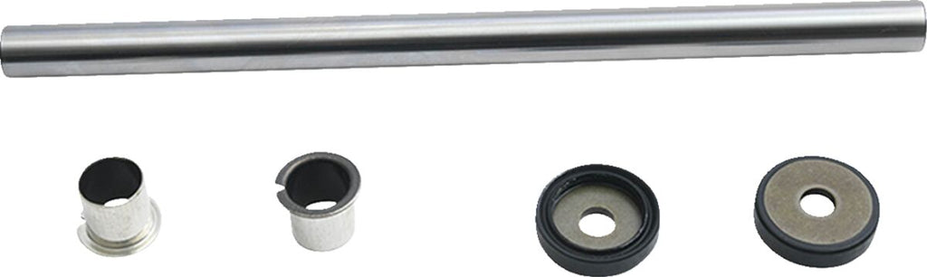 A-ARM BEARING&SEAL KT AC
