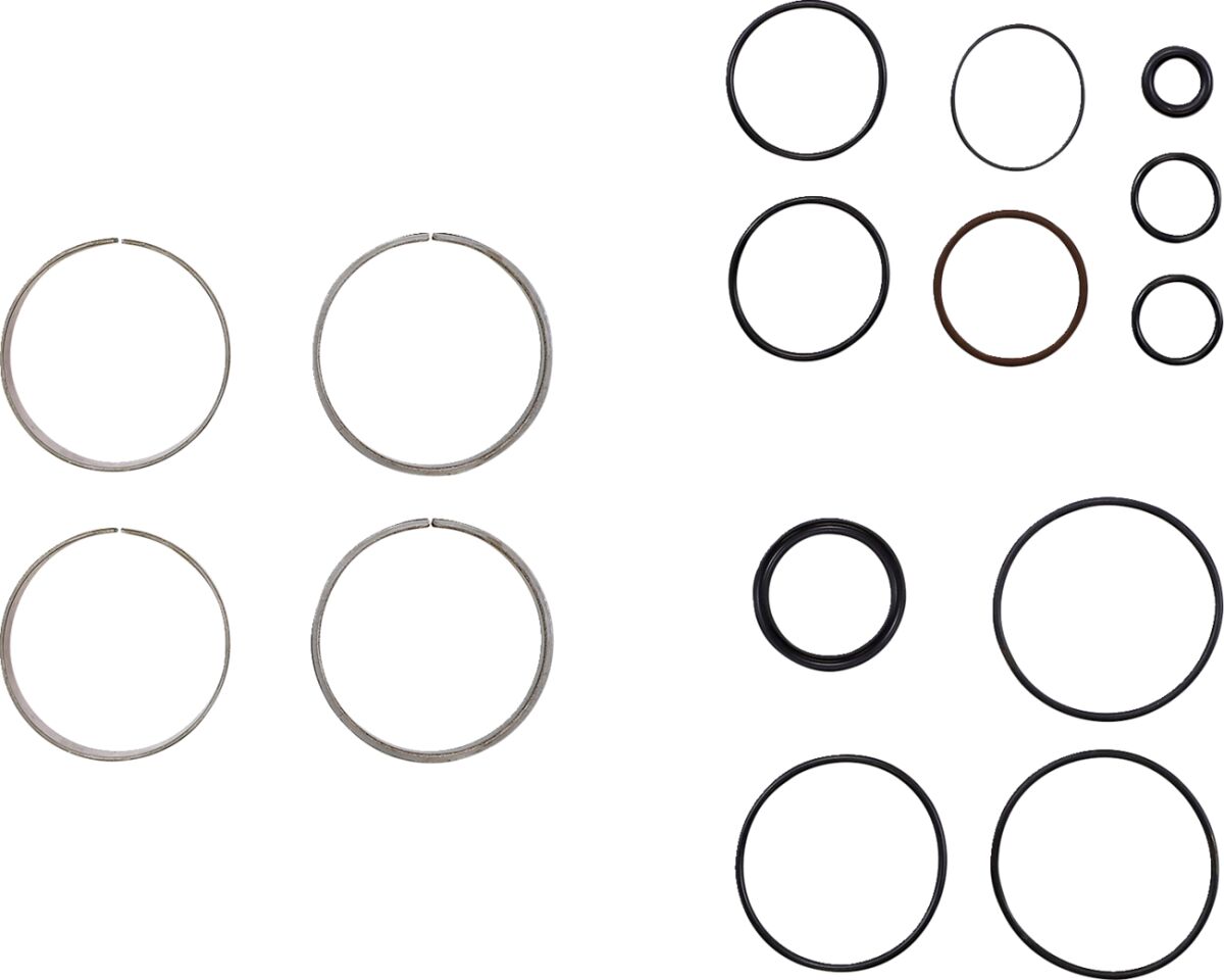 FORK BUSHING KIT MOOSE