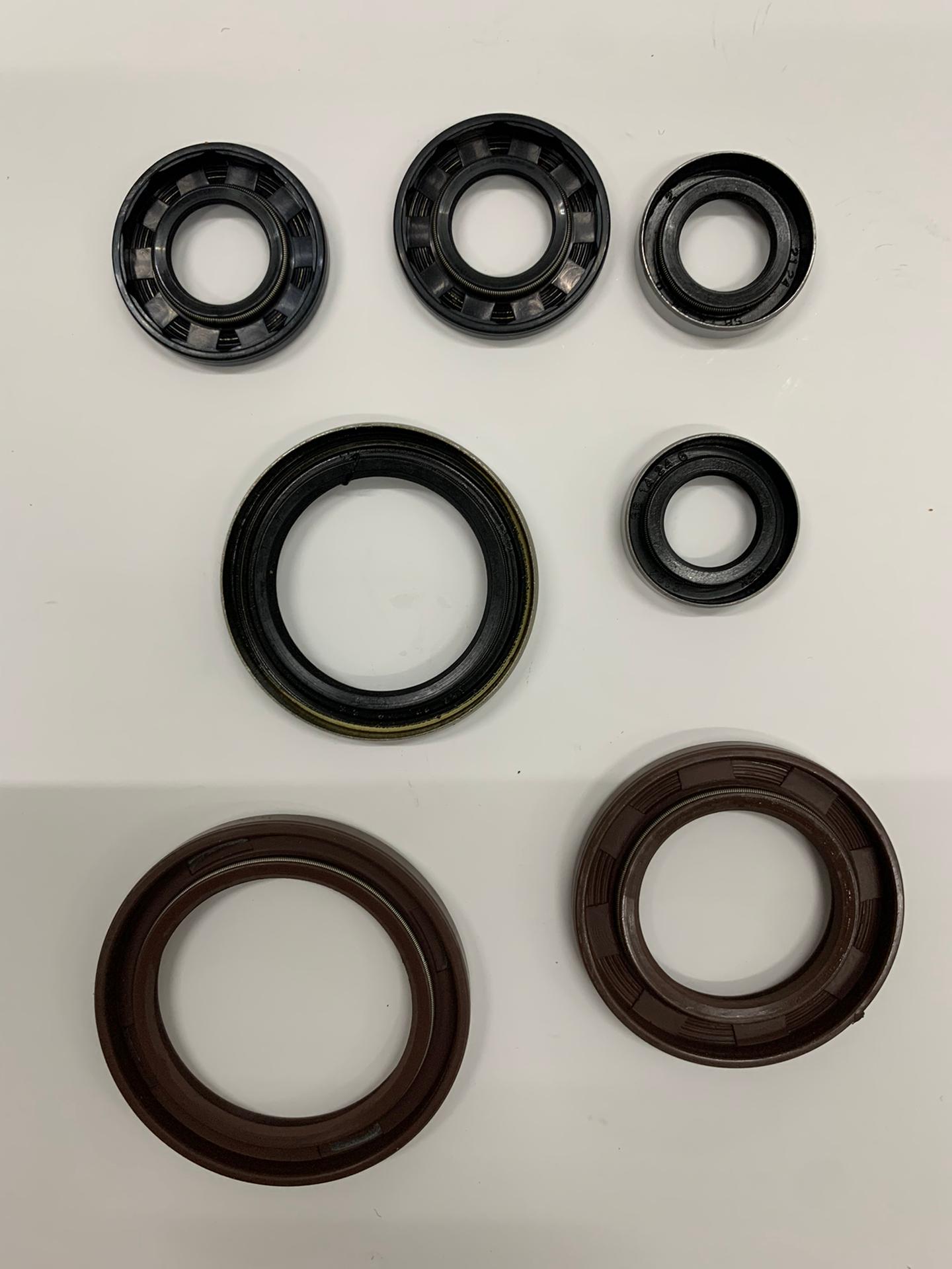 KIT VEDANTES MOTOR KTM SX250/XC300 17/20