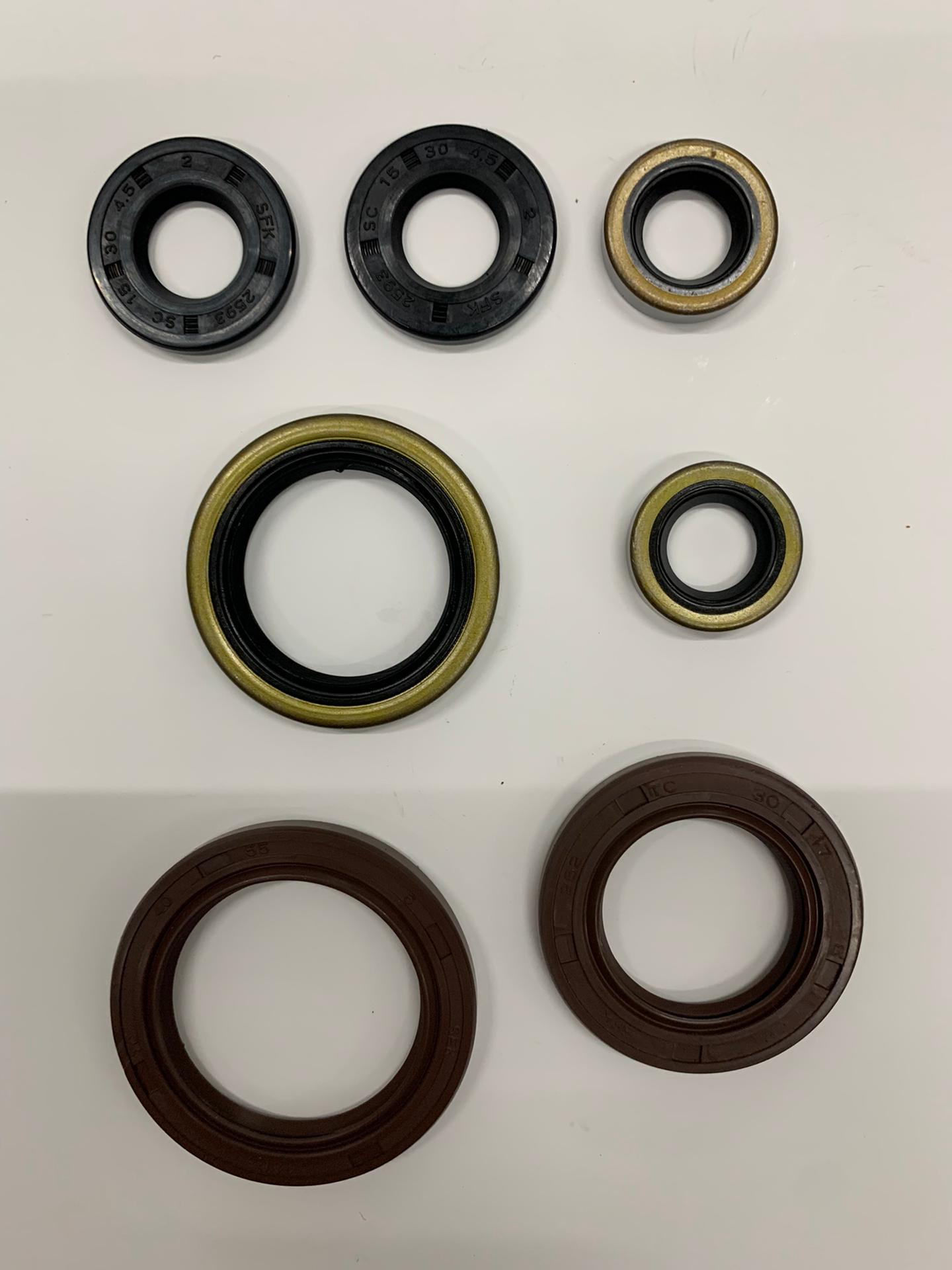 KIT VEDANTES MOTOR KTM SX250/XC300 17/20