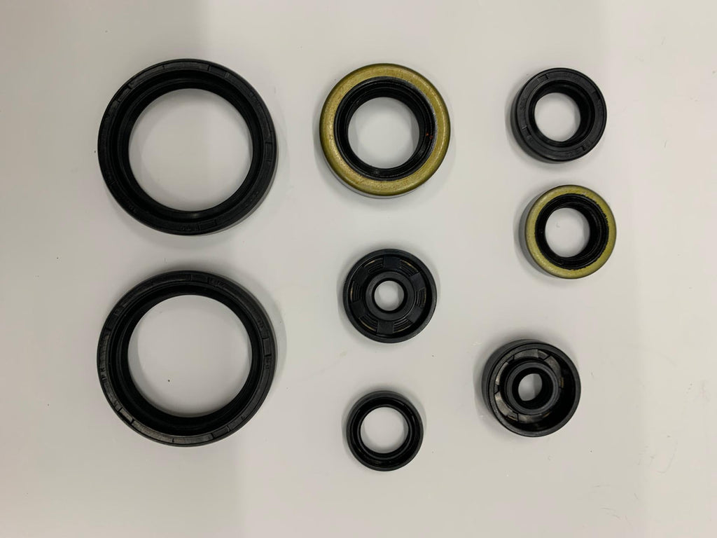 KIT VEDANTES MOTOR KX250F 17/19