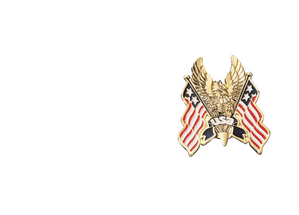 H01-311 EMBLEMA AUTOCOLANTE EAGLE/USA-M