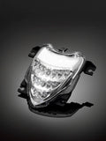 H683-100 FAROLIM LED C/ PISCAS