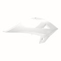 RAD CVR GGAS EC/ECE 18-20 WH