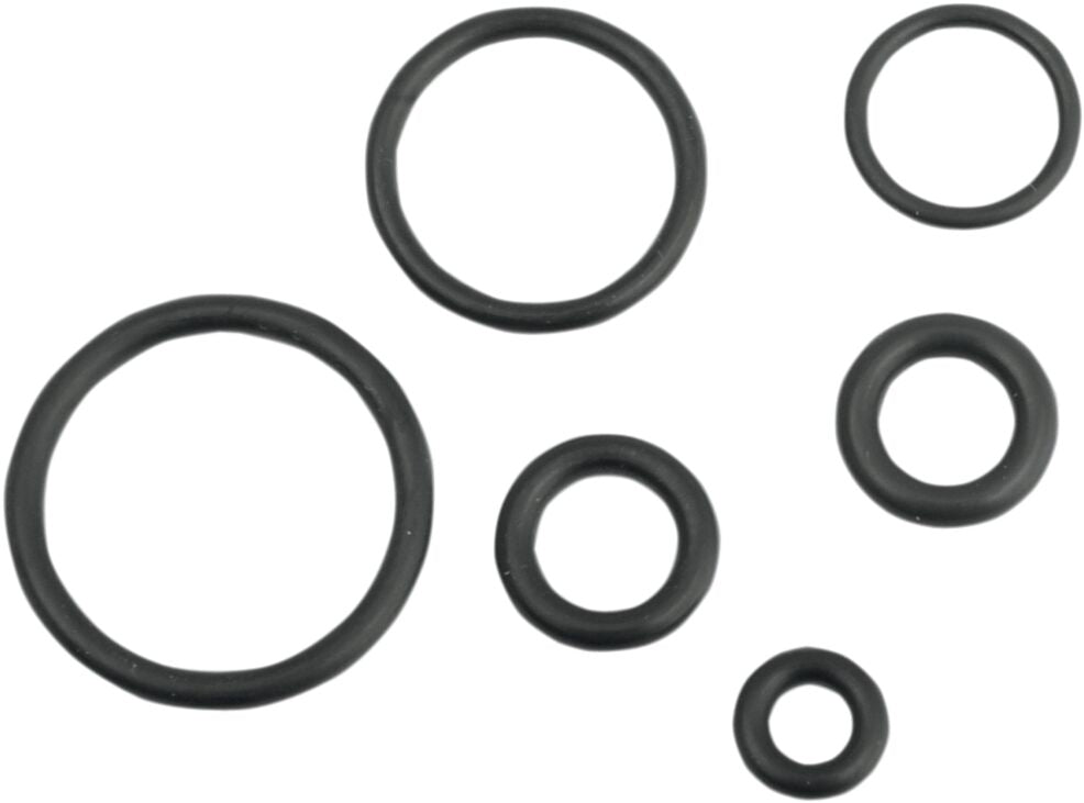 O-RING KIT EFI FUEL LINE