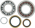 BEARING CRANK MSE KTM