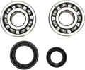 CRANK BEARING SEAL KIT