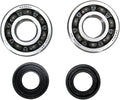 CRANK BEARING SEAL KIT