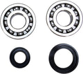 CRANK BEARING SEAL KIT