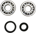 CRANK BEARING SEAL KIT