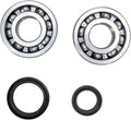 CRANK BEARING SEAL KIT
