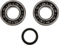 CRANK BEARING SEAL KIT