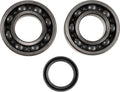 CRANK BEARING SEAL KIT