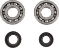CRANK BEARING SEAL KIT