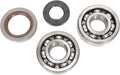 CRANK BEARING SEAL KIT