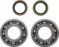 BEARING CRANK MSE BETA