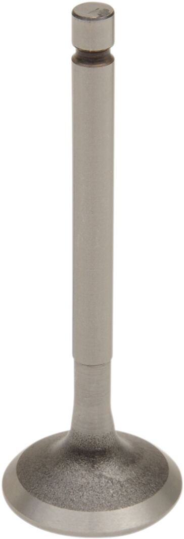 VALVE EX STEEL TTR/YBR125