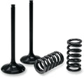 VALVE EX/SPRING KIT RM-Z450