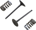 VALVE IN/SPRING KIT RM-Z250