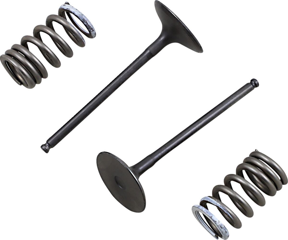 VALVE IN/SPRING KIT RM-Z250