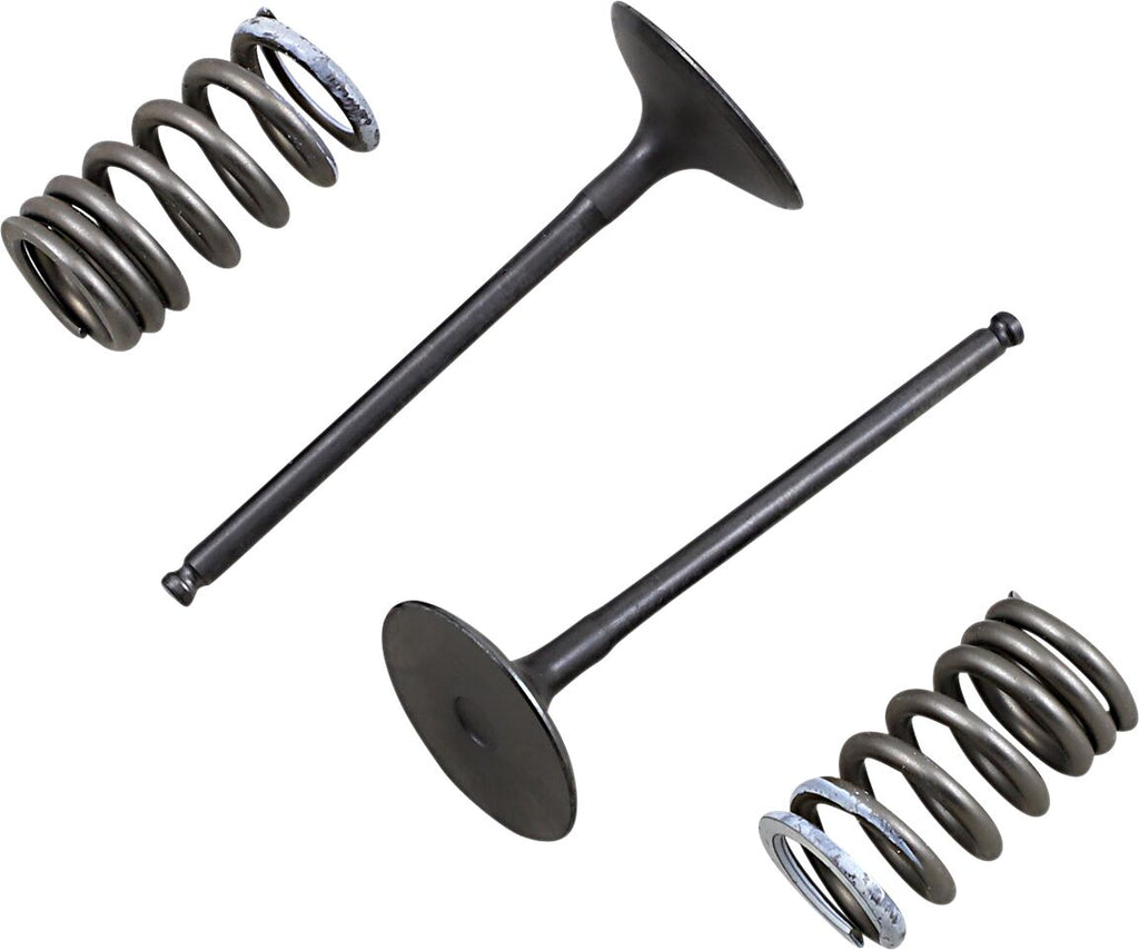 VALVE IN/SPRING KIT RM-Z250