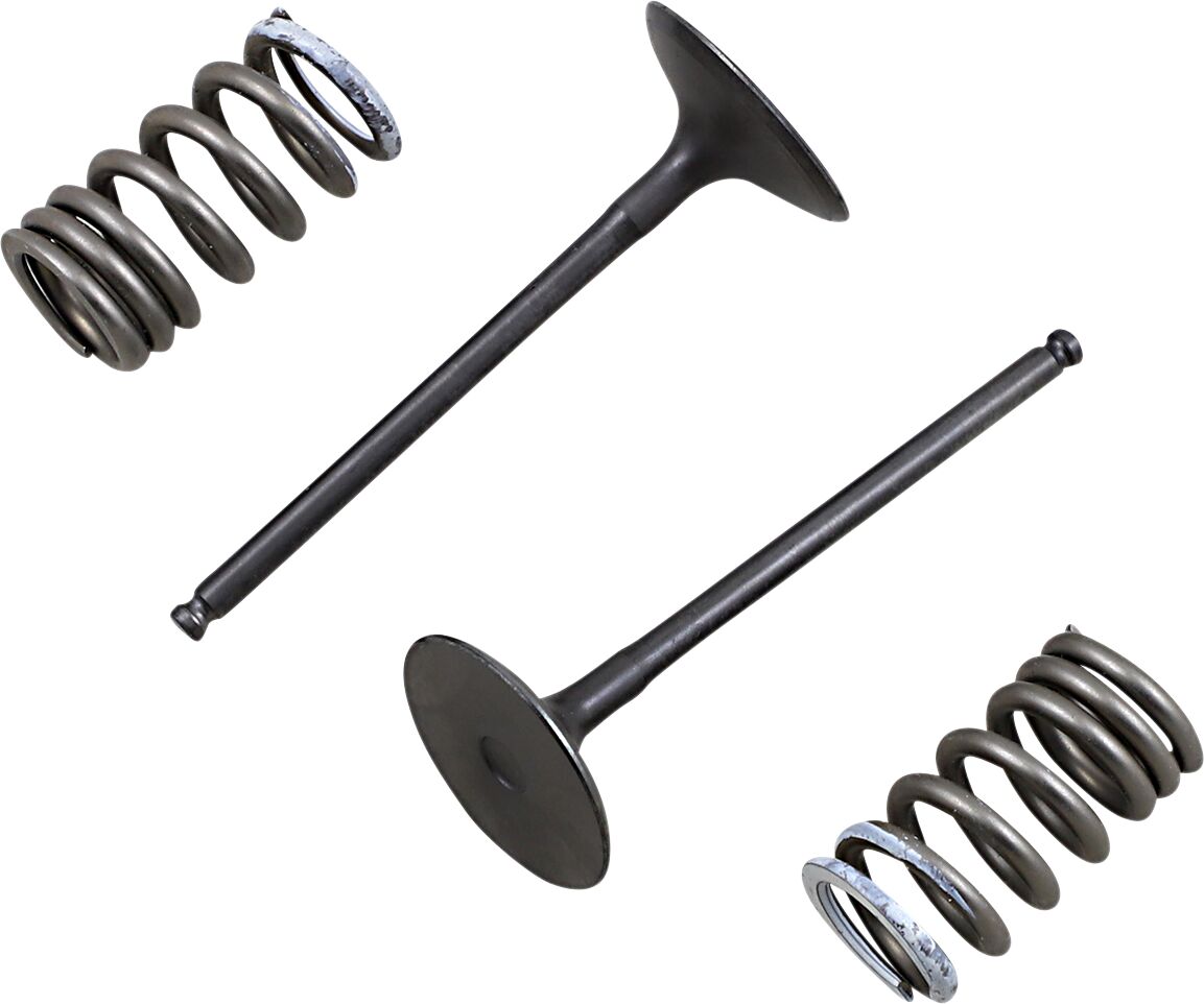 VALVE IN/SPRING KIT RM-Z250