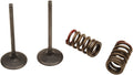 VALVE IN/SPRING KX250F+RMZ250