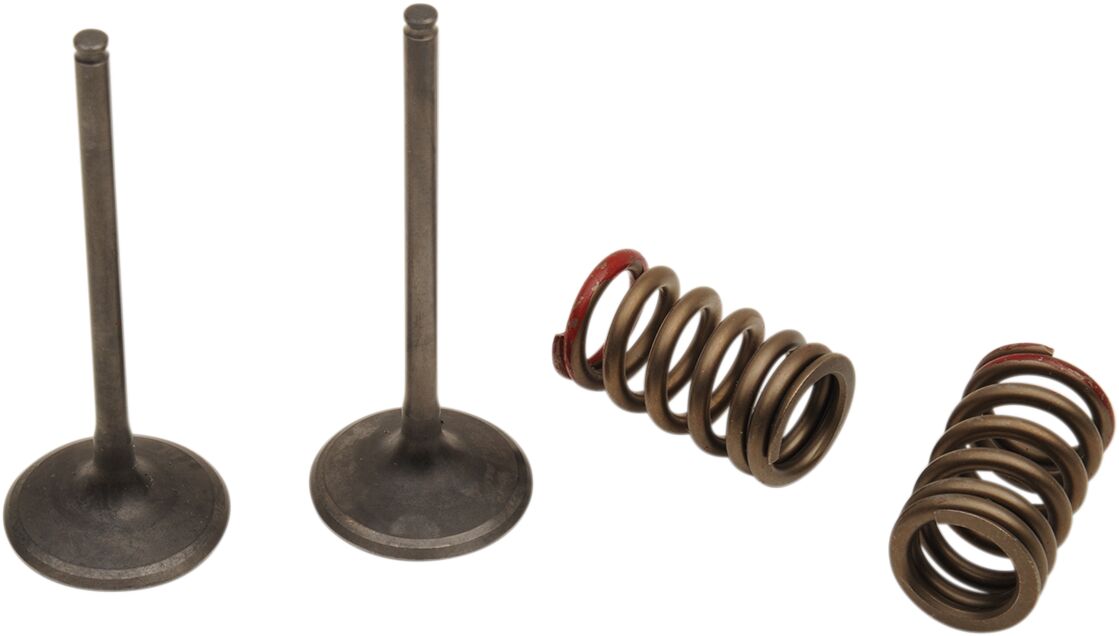 VALVE IN/SPRING KX250F+RMZ250