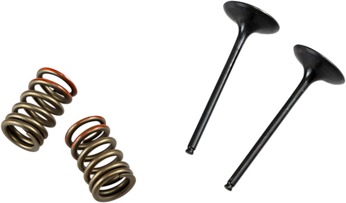VALVE IN/SPRING KIT KX250F