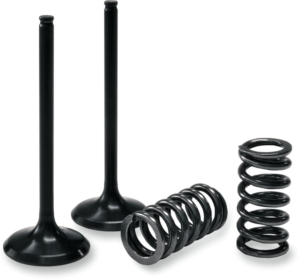 VALVE IN/SPRING KIT KX250F
